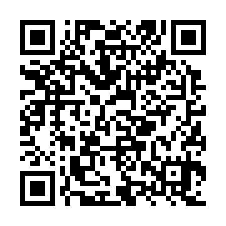 QR code for XZV335