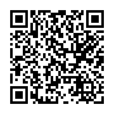 QR code for XZX334