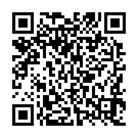 QR code for XZX393