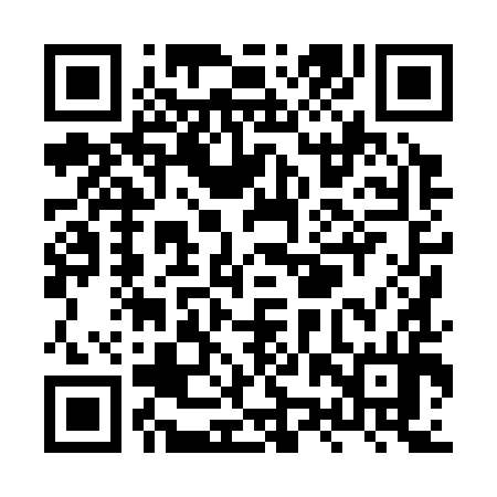 QR code for XZX394
