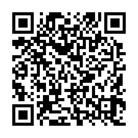 QR code for XZY389