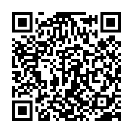 QR code for XZY438