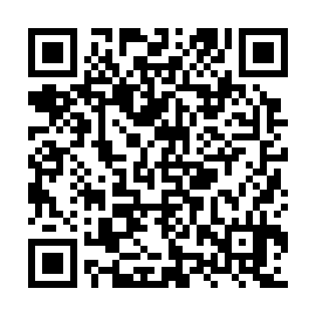 QR code for XZZ334