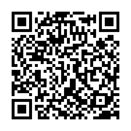 QR code for XZZ529