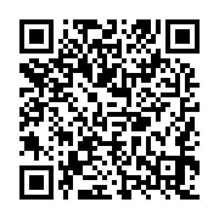 QR code for XZZ951