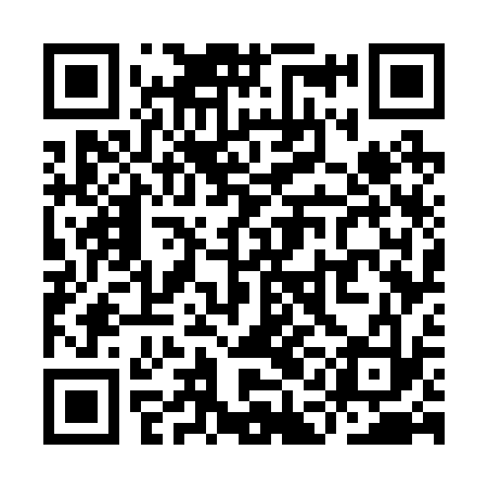 QR code for YAG233