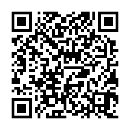QR code for YAG300