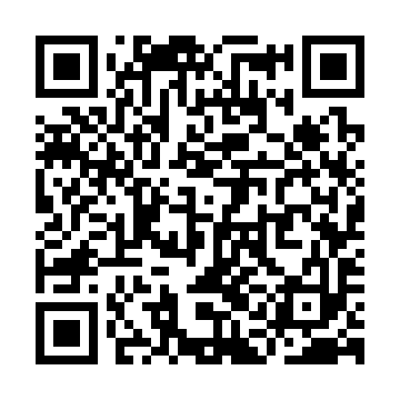 QR code for YAG393
