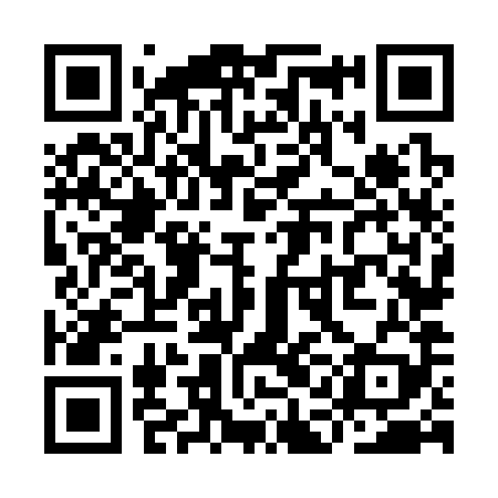 QR code for YAN389