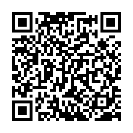 QR code for YAO991