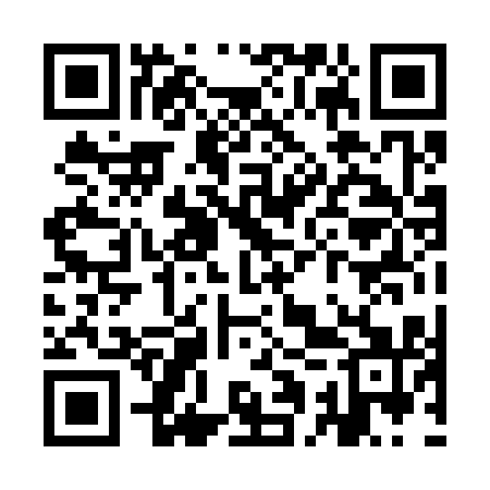 QR code for YAP311