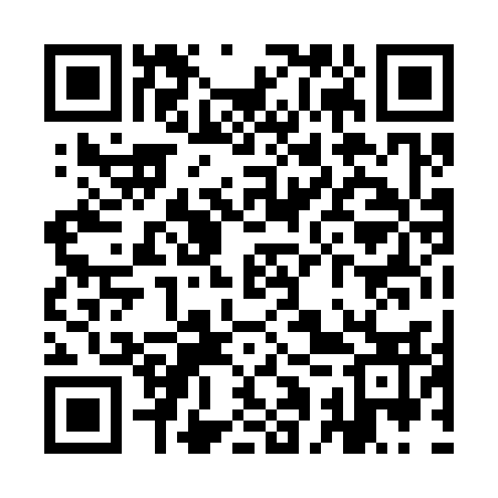 QR code for YAP333