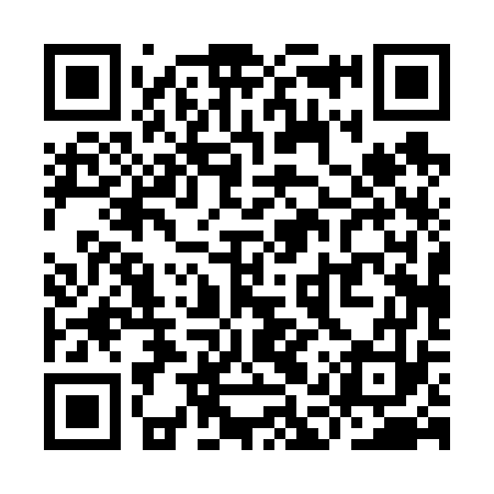 QR code for YAP673