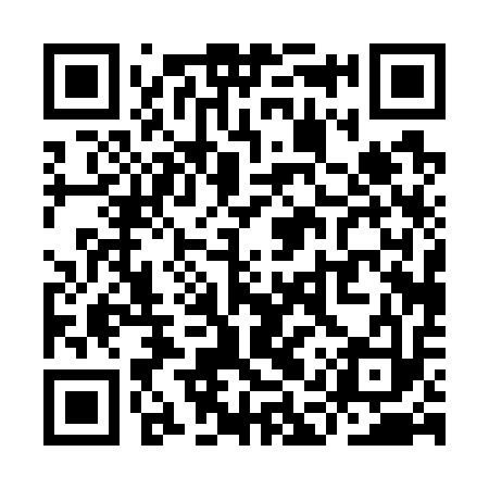 QR code for YAP713