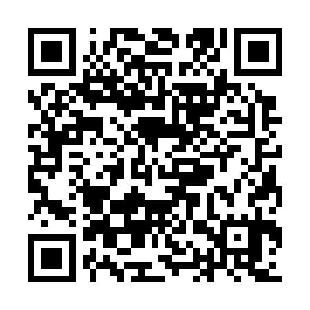 QR code for YAS335
