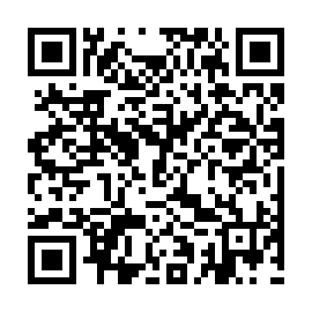 QR code for YAV294