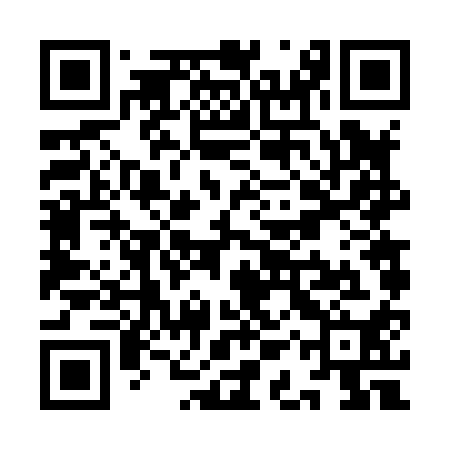 QR code for YAV810