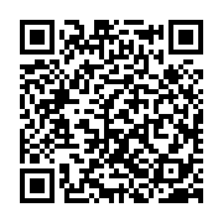 QR code for YBB838