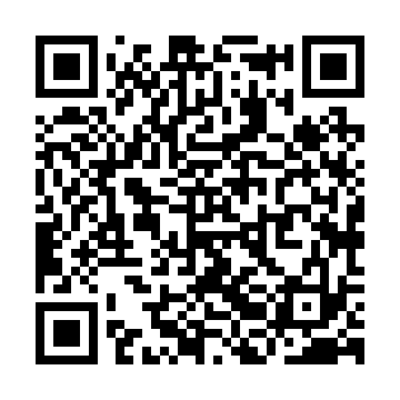 QR code for YBH233