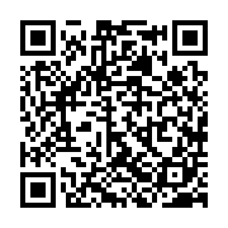 QR code for YBH300