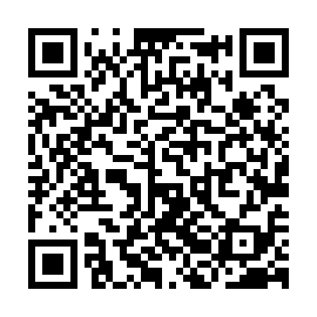 QR code for YBL119