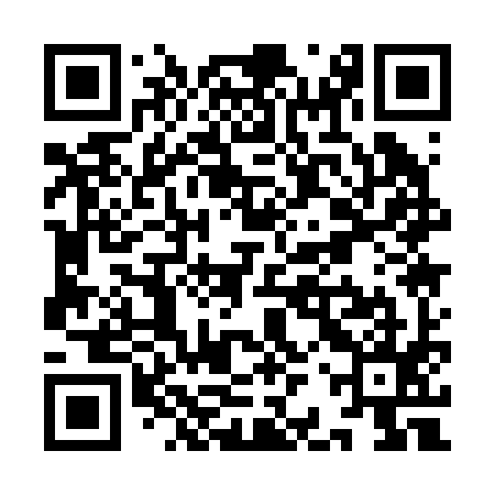 QR code for YBQ295