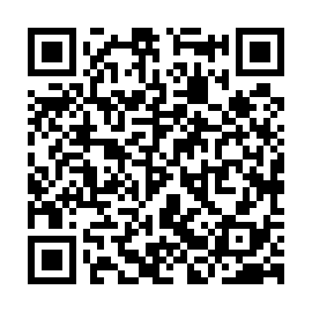 QR code for YBX538