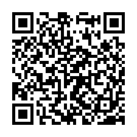 QR code for YBY313