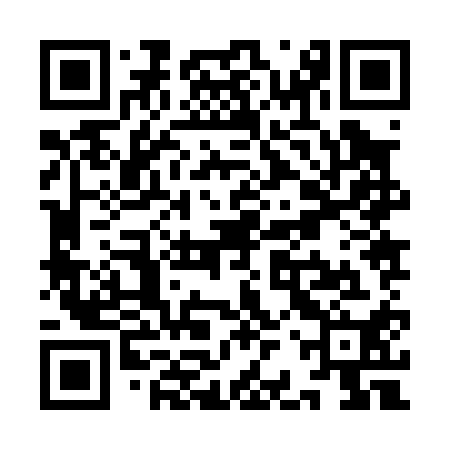 QR code for YBZ010