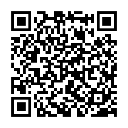 QR code for YBZ221