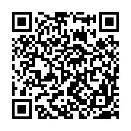 QR code for YBZ296