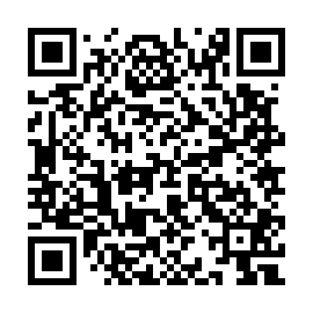 QR code for YBZ501