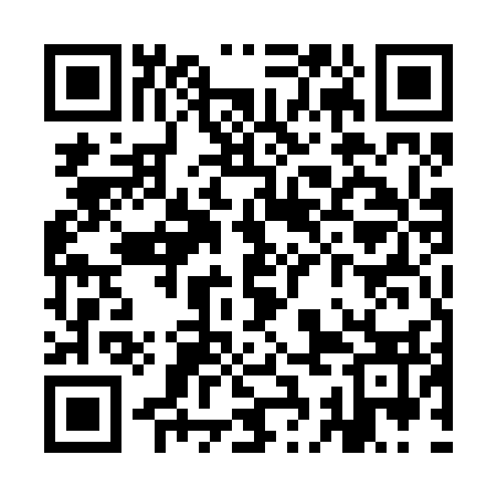 QR code for YCE233