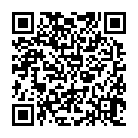 QR code for YCF384