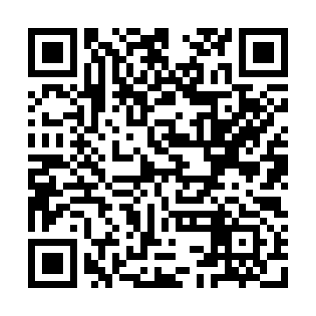 QR code for YCN393