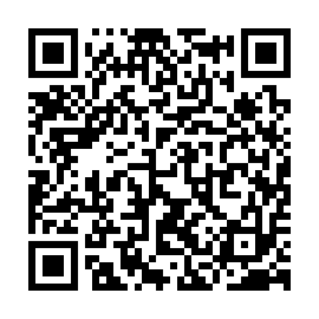 QR code for YCQ313