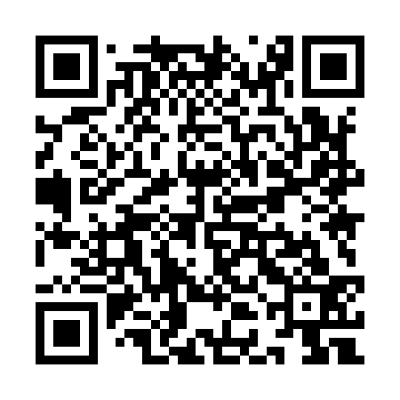 QR code for YDM933