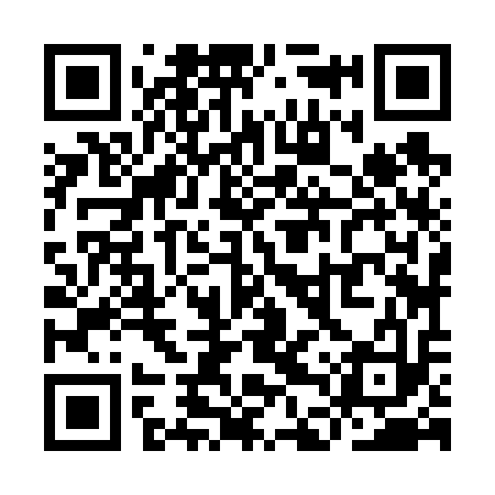 QR code for YDZ613