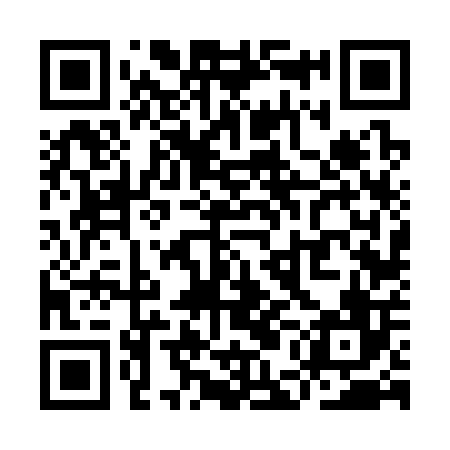 QR code for YEF306