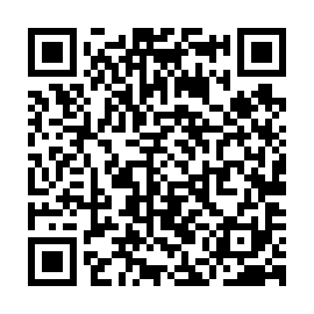 QR code for YEL691