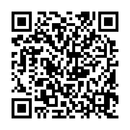 QR code for YEM384