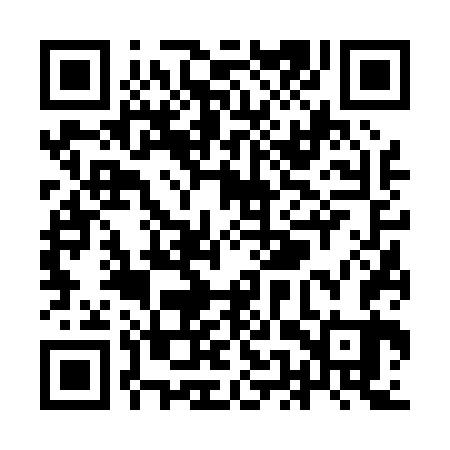 QR code for YEV063