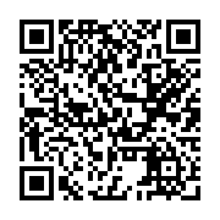QR code for YEV315