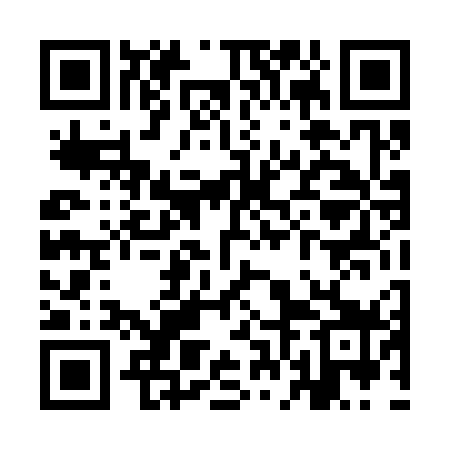 QR code for YFD379