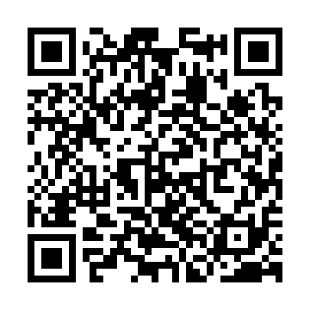 QR code for YFE311