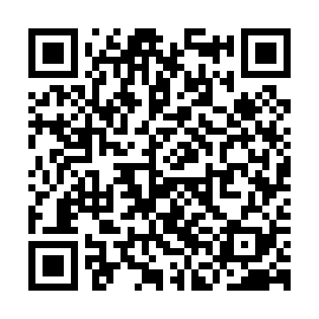 QR code for YFG029