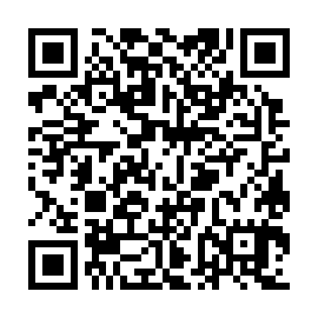 QR code for YFG385