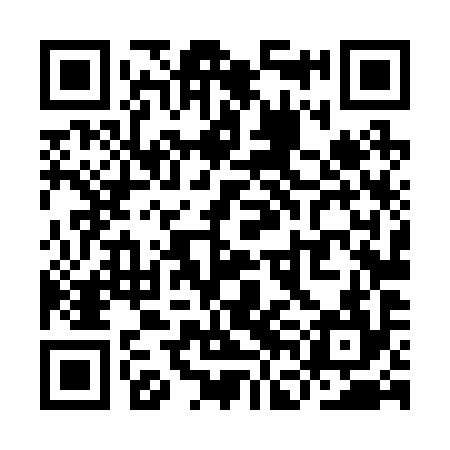 QR code for YFL294