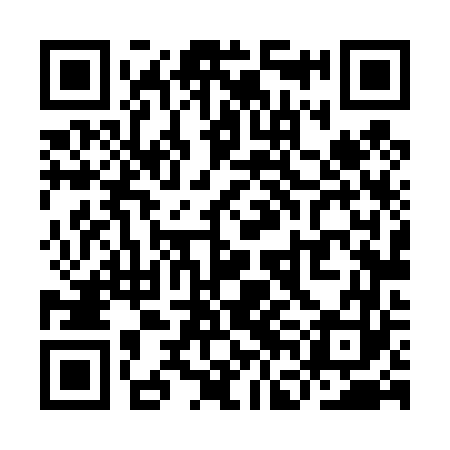QR code for YFL463
