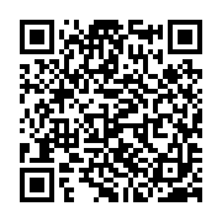 QR code for YFM293
